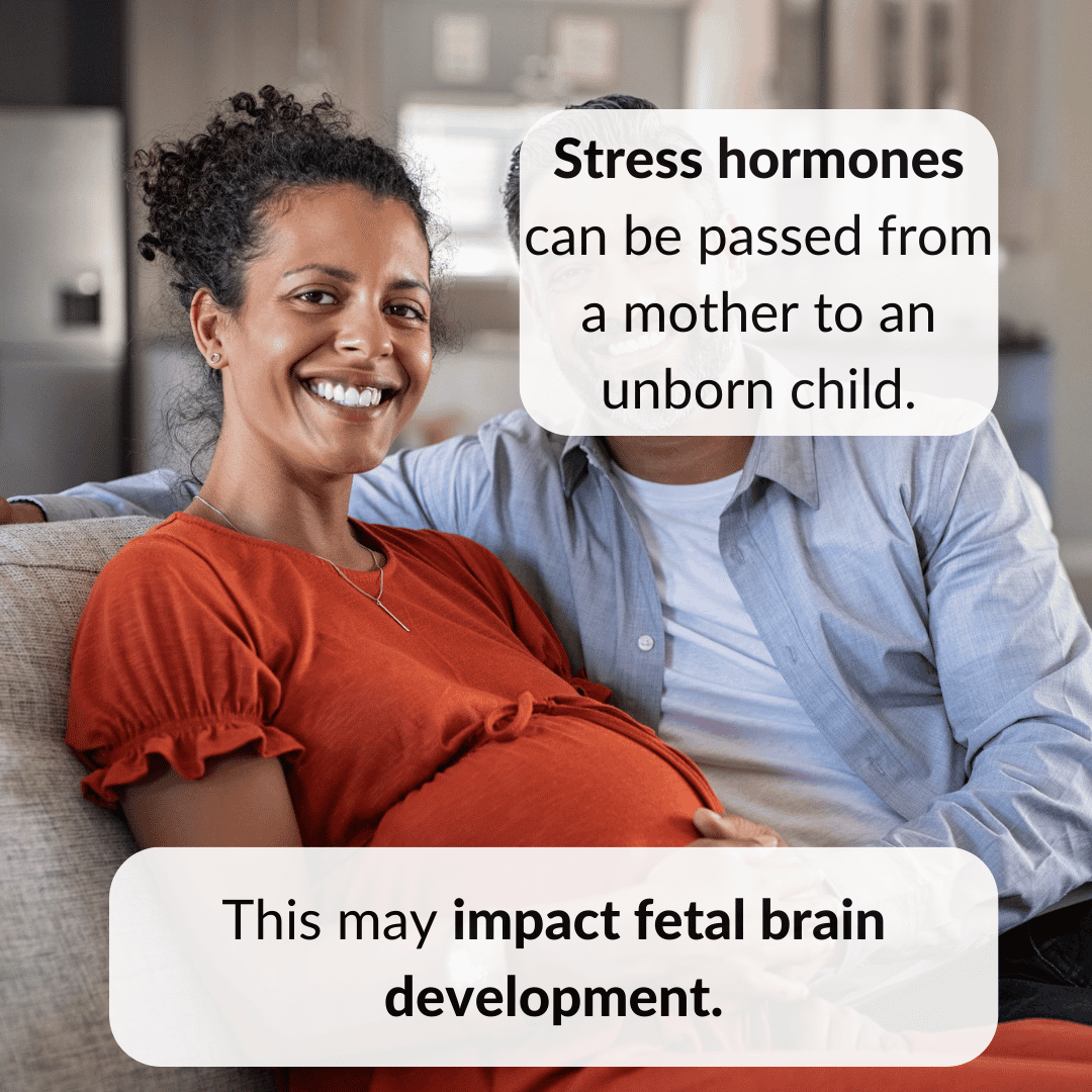 Stress hormones can be passed from a mother to an unborn child. This may impact fetal brain development.